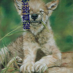 能直接约的app （寸步不离）