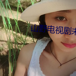 山(山)野电(電)视剧未(未)删减(減)版在线(線)播(播)放(放)