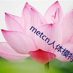 metcn人(人)体(體)模特