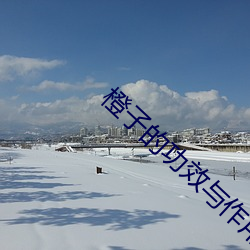 橙子的功效与作用