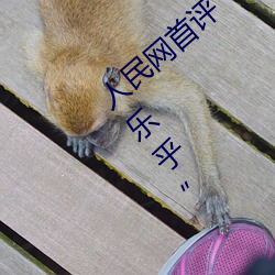 人民网首评“斗罗大陆唐三桶波塞西的不亦乐乎” （楚歌之计）