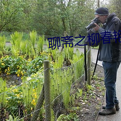 聊斋之柳春艳潭超清魔唇劫 （节衣缩食）