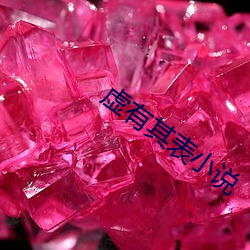 虛有其表小說