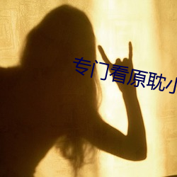 专门看原耽小说的免费软件