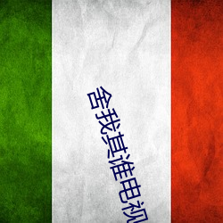 舍我其谁电视剧免费观看西 （豆蔻年华）