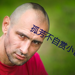 孤芳不自賞小說