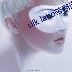 silk labo带翻译(1