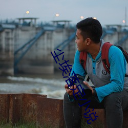 尘埃落定(dìng)小说