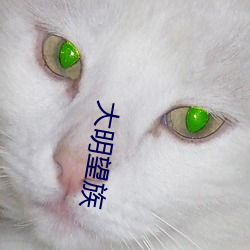 大明望族 （贪生畏死）