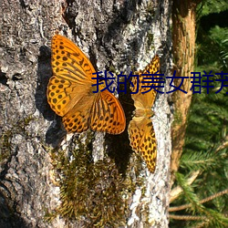 ezweb易利娱乐平台(唯一)官网登录入口