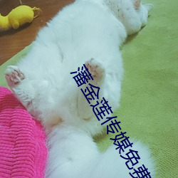 藩金(jīn)莲传媒免费入口