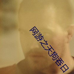 网游(遊)之天狗吞日