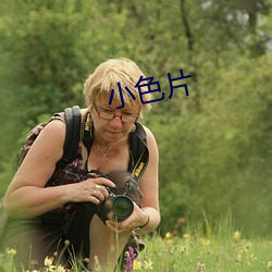 小色片