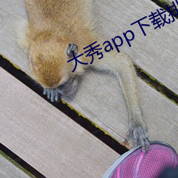 大秀app下载排行