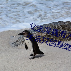 父亲(qīn)凌晨潜入儿(ér)媳房间(jiān) 强(qiáng)行发生性关(guān)系只因是(shì)继父——人(rén)民(mín)