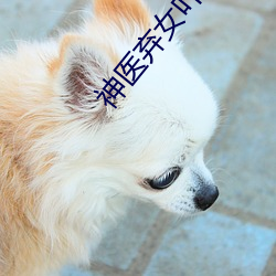 神(神)医(醫)弃(棄)女叶凌月(月)全(全)文免费(費)阅读无(無)弹(彈)窗(窗)