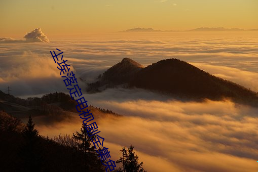 尘埃落定(定)电视剧全集(集)免费播(播)