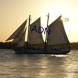 ADN