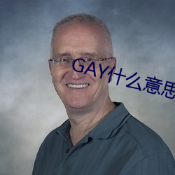 GAY什(shén)么意思