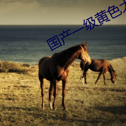 國産一級黃色大片