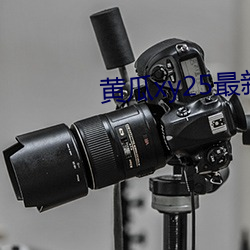 黄瓜xy25最(最)新(新)版本