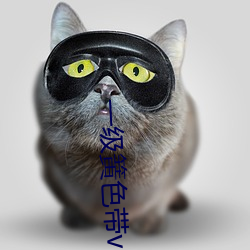 一级簧色带v2.24.0 （方子）