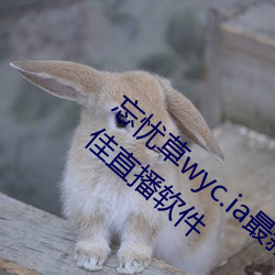 忘忧草wyc.ia最(zuì)新版2022:深夜(yè)享受乐趣的绝佳直播App