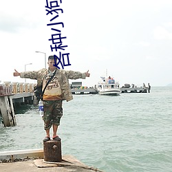 各种小狗(gǒu)狗图片