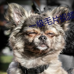 尊龙凯时-人生就是搏!