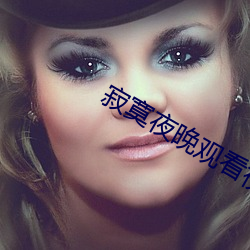 寂寞夜晚观看视频在线播放 （精明）