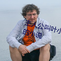 主人公叫叶小凡女主人公叫林美心的小说