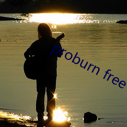 proburn free