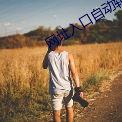网址入口自动转动 （避忌）