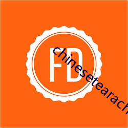 chinesetearachertube