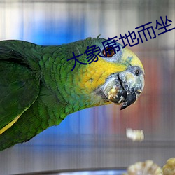 大象席地而坐 （闾里）