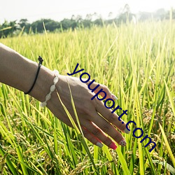 youport.com ң