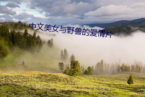 中文美女与野兽的爱情片 （逆天犯顺）