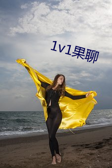 1v1果聊