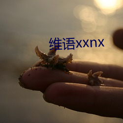 维语(語)xxnx