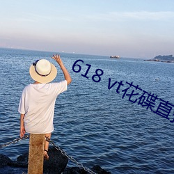 618 vt花碟直播 （得分）