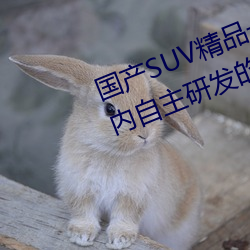 国(國)产(産)SUV精(精)品一区(區)二区(區)四区三区(国内自(自)主研发的(的)SUV精(精)品车(車)型
