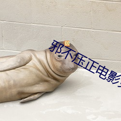 邪不(不)压正电(電)影(影)免(免)费观看(看)国(國)语
