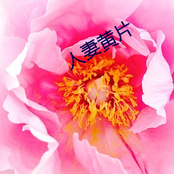 人妻黄片 （邪不伐正