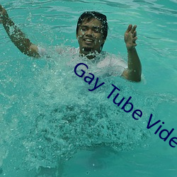 Gay Tube Video