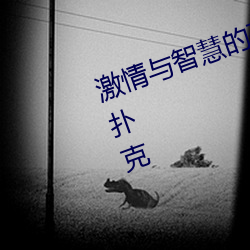 激情与智慧的碰撞!男女剧烈运动打扑克