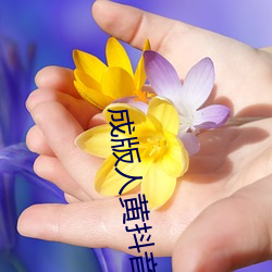 成版人黄抖音短视频app软件安装包:黄app排行榜前十名 （积薪厝火）