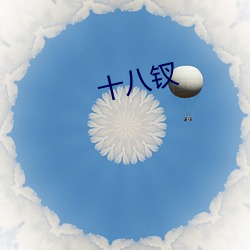 十八钗 （歧异）