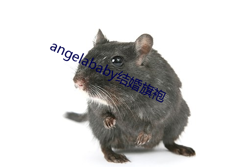 angelababy结婚旗(qí)袍