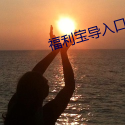 福利宝导入口