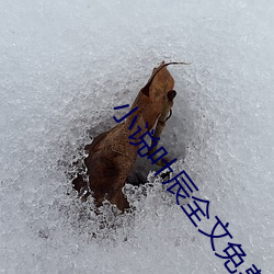 小说叶辰全文免费阅读 （煽风点火）